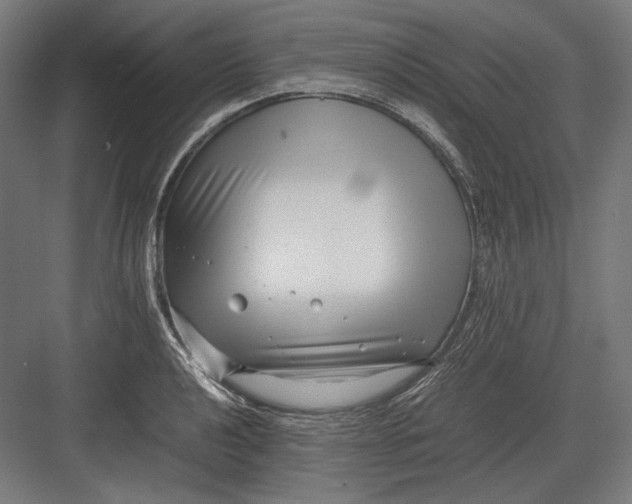 X0000082701040200702161744