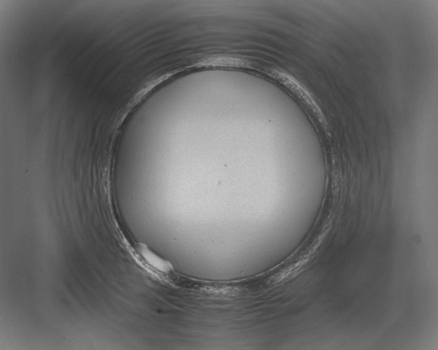 X0000082701041200702161745