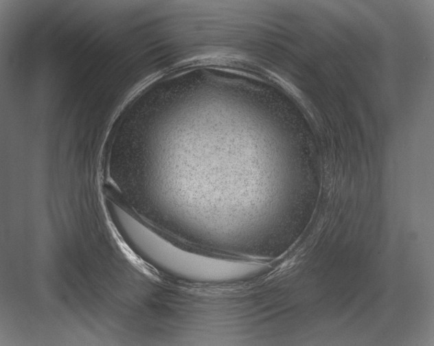 X0000082701042200702161745