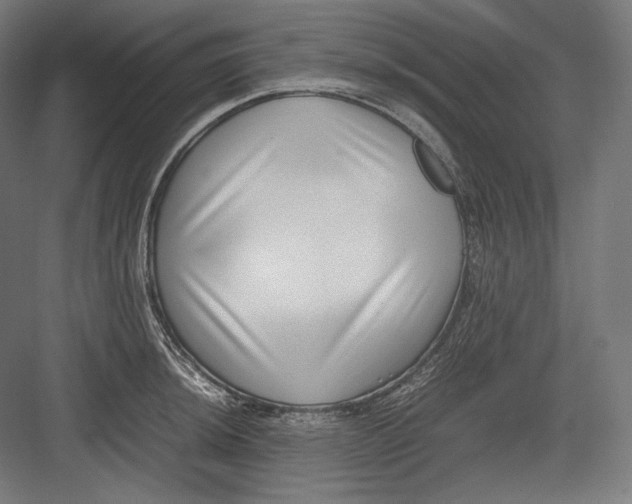 X0000082701044200702161745