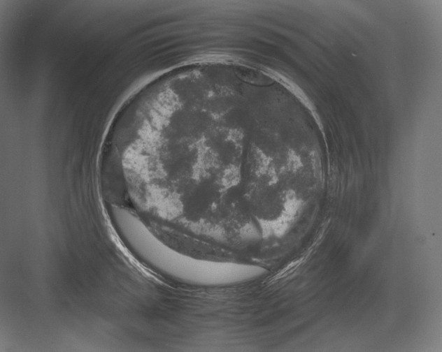 X0000082701045200702161745