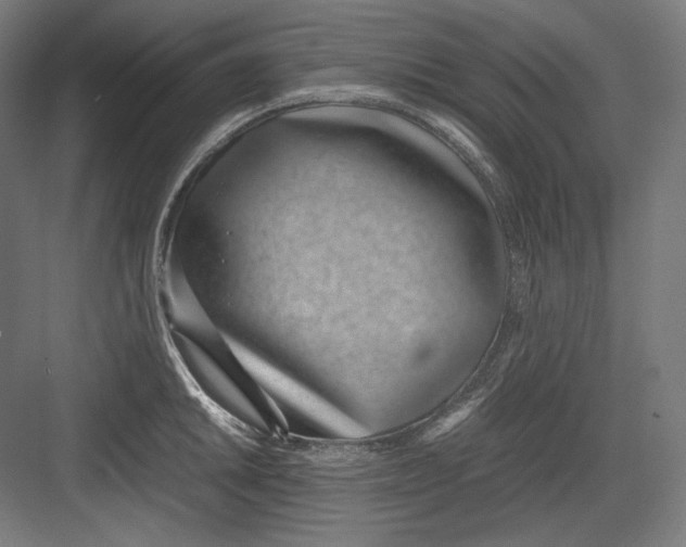 X0000082701046200702161745