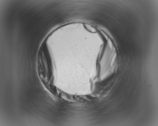 X0000082701048200702161745