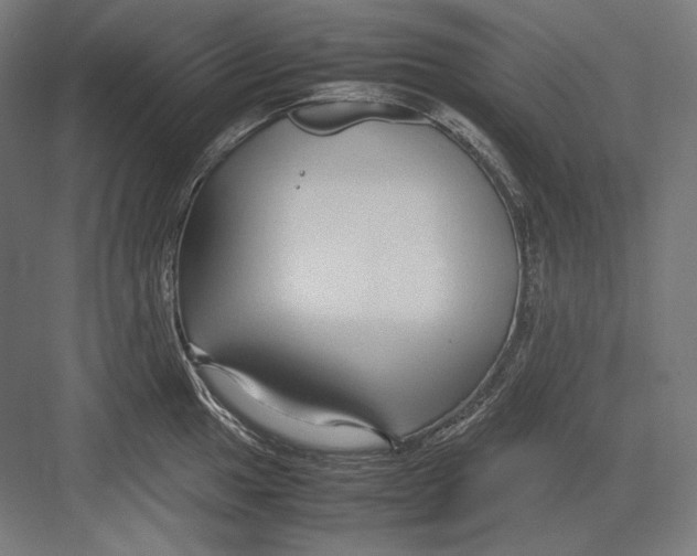 X0000082701049200702161745