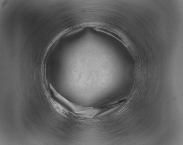 X0000082701050200702161745