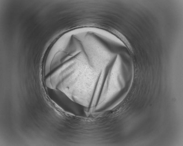 X0000082701051200702161745