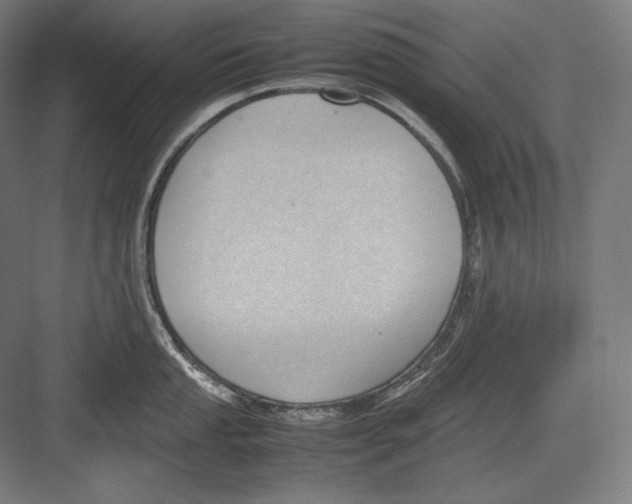 X0000082701053200702161745