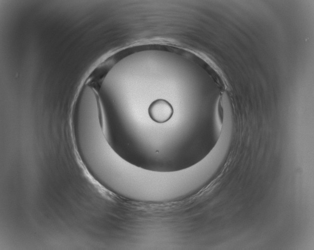 X0000082701054200702161745