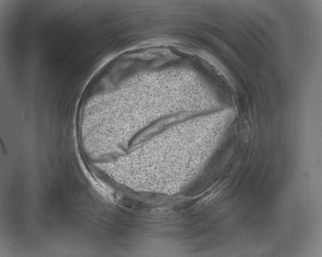 X0000082701055200702161745