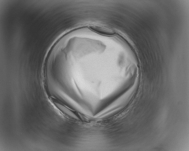 X0000082701056200702161745