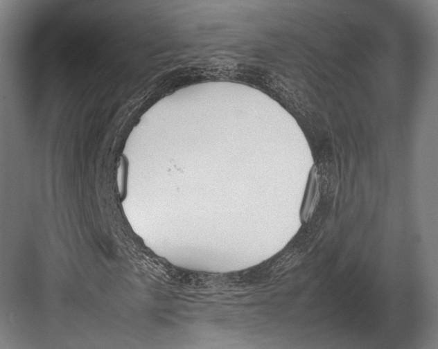 X0000082701057200702161744