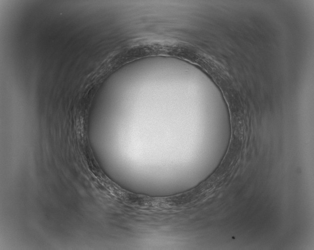 X0000082701061200702161744