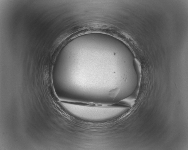 X0000082701065200702161744