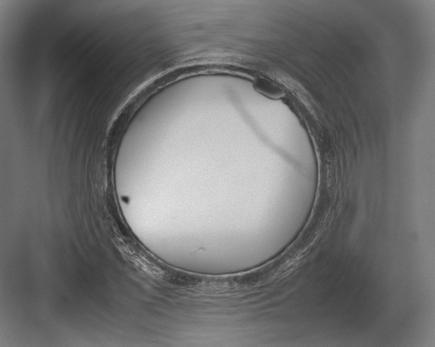 X0000082701069200702161744