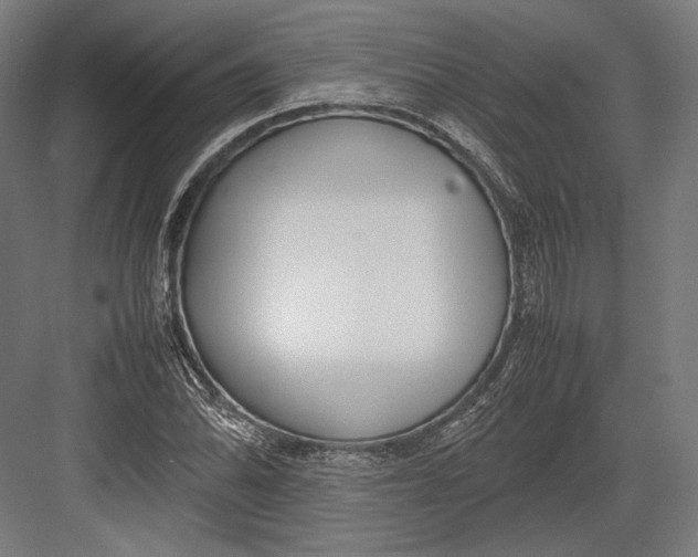 X0000082701070200702161744