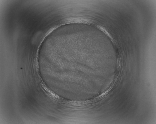 X0000082701071200702161744