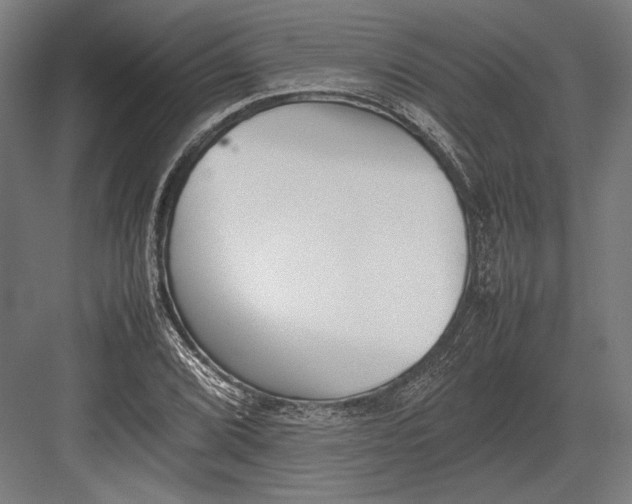 X0000082701072200702161744