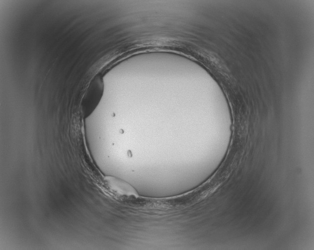 X0000082701073200702161744