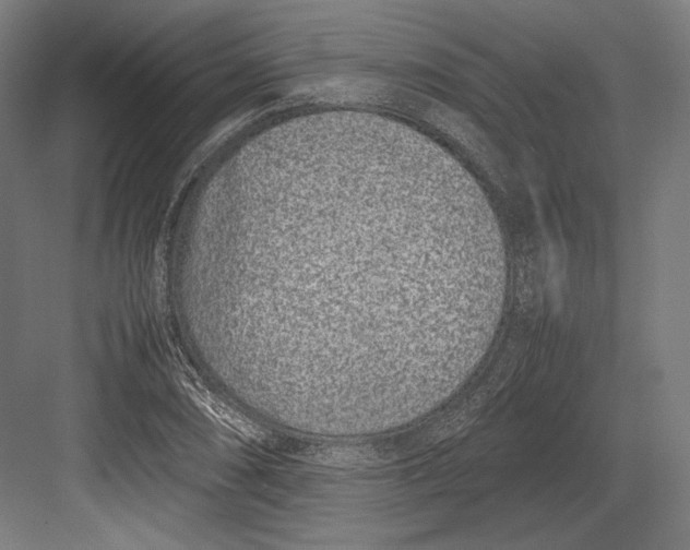 X0000082701074200702161744