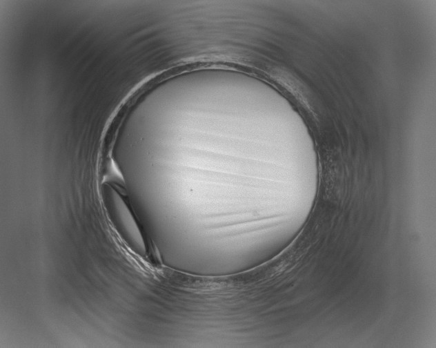 X0000082701076200702161744