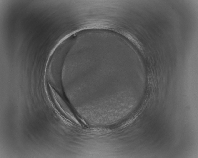 X0000082701077200702161744