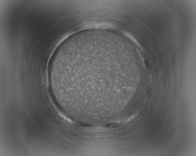 X0000082701079200702161744