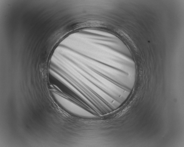 X0000082701081200702161744