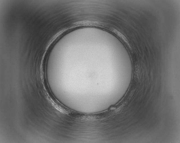 X0000082701082200702161744