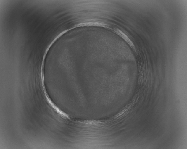 X0000082701084200702161744