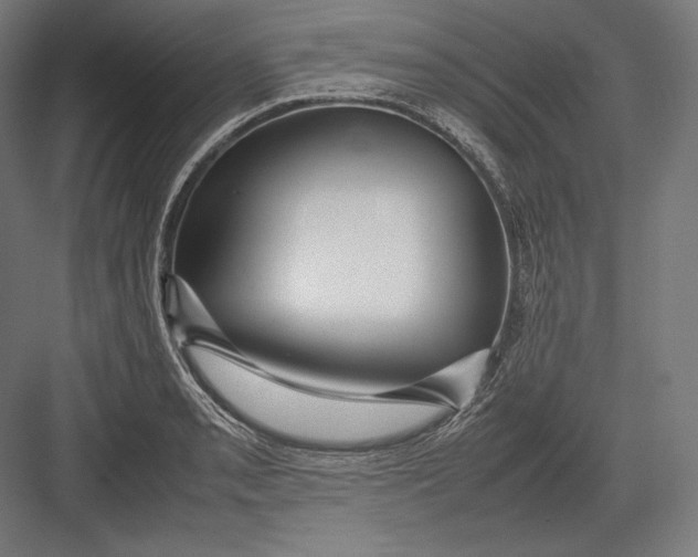 X0000082701085200702161743