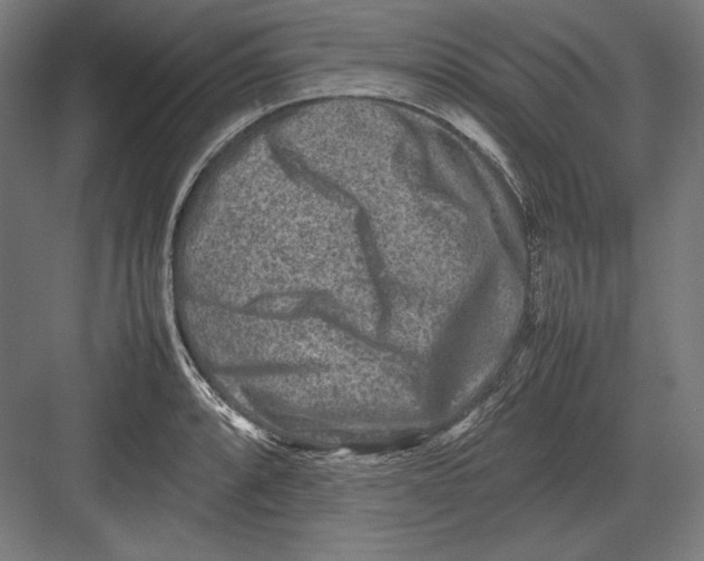 X0000082701088200702161743