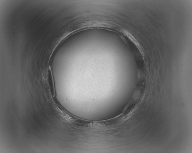 X0000082701089200702161743