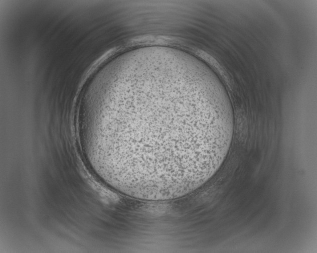 X0000082701090200702161743