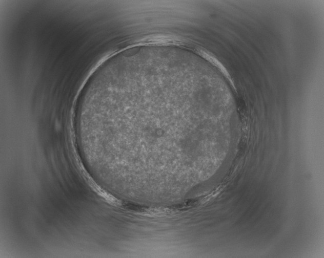 X0000082701091200702161743