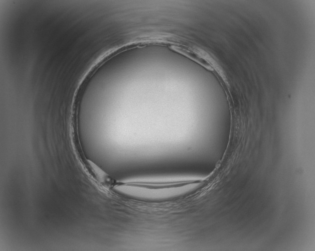 X0000082701093200702161743