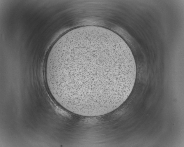 X0000082701094200702161743