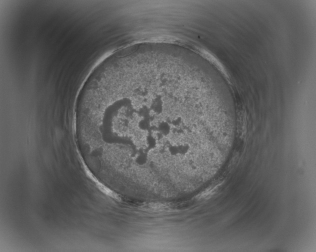 X0000082701095200702161743