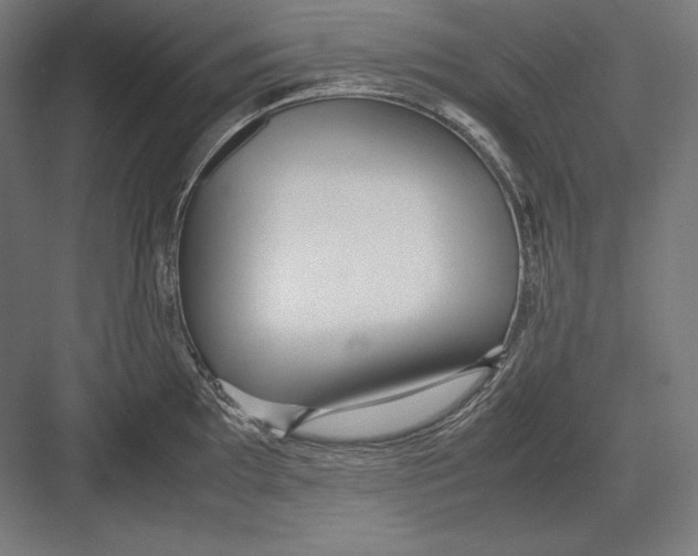 X0000082701097200702161743