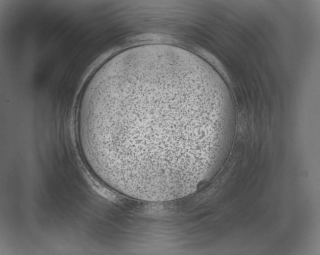 X0000082701098200702161743