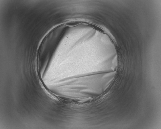 X0000082701100200702161743