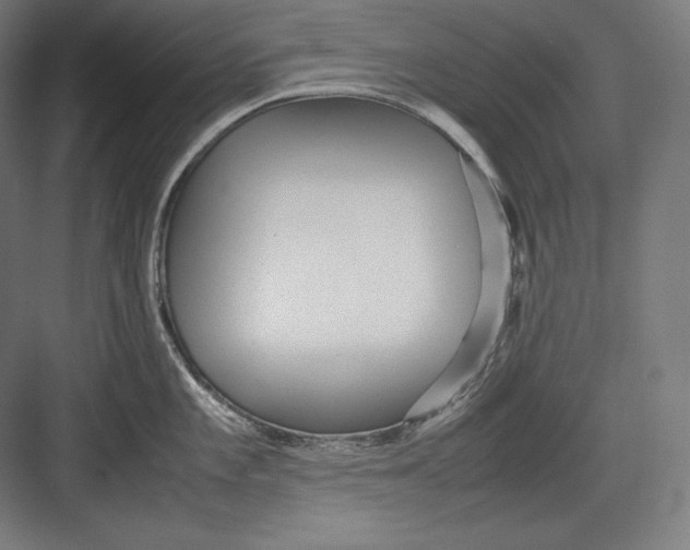 X0000082701101200702161743