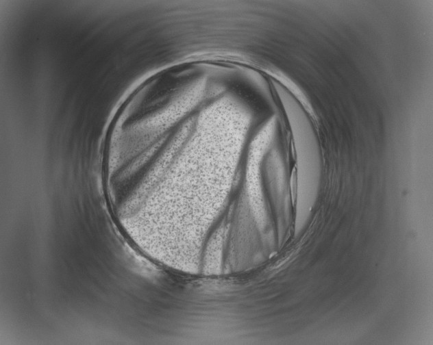 X0000082701102200702161743