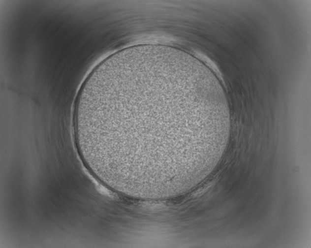 X0000082701103200702161743