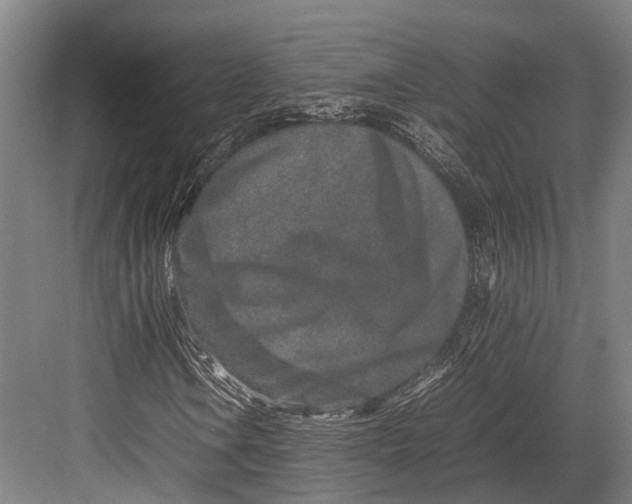 X0000082701106200702161742