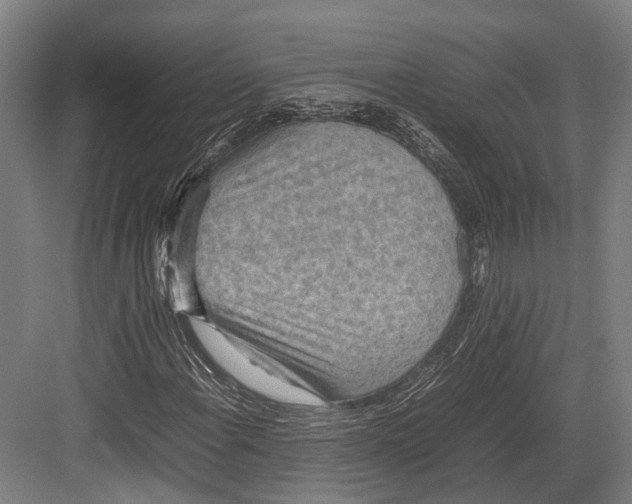 X0000082701108200702161742