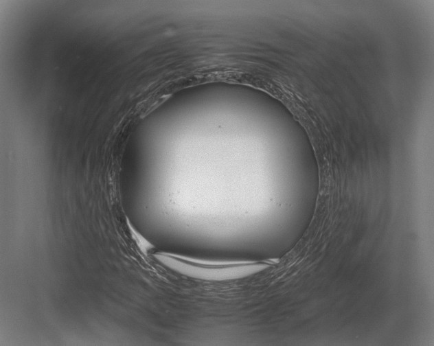 X0000082701109200702161742