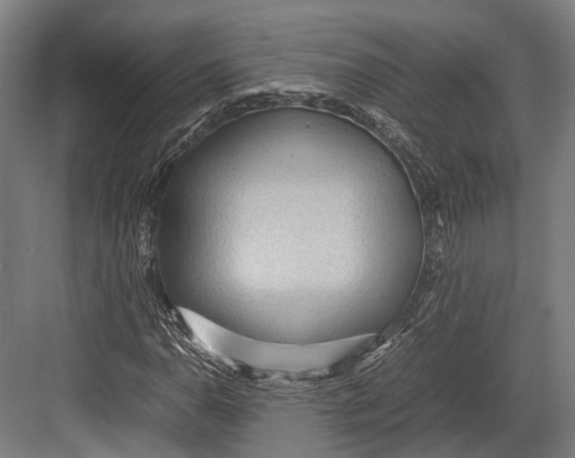 X0000082701110200702161742