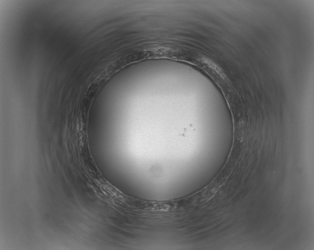 X0000082701111200702161742