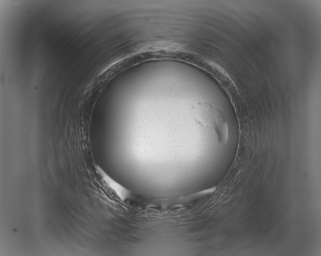 X0000082701112200702161742