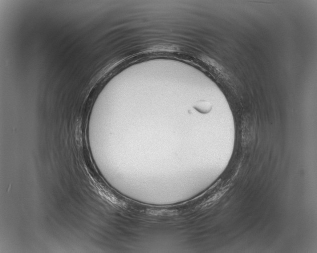 X0000082701113200702161742